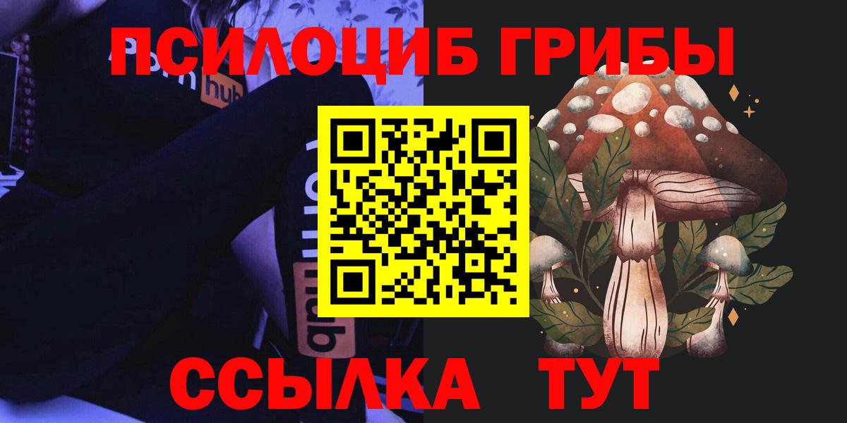 Сыктывкар  Псилоцибиновые грибы Cubensis  Вход с VPN  Галлюциногенные грибы мухоморы 
